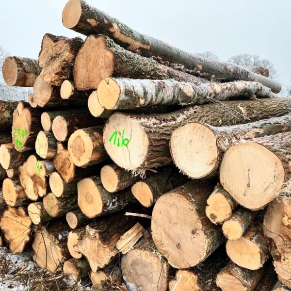Kiefernstammholz – 4 LKW-Ladungen (200 rm) – PEFC-zertifiziert