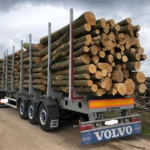 Nadelholzstammholz (gemischt) – 3 LKW-Ladung (150 rm)
