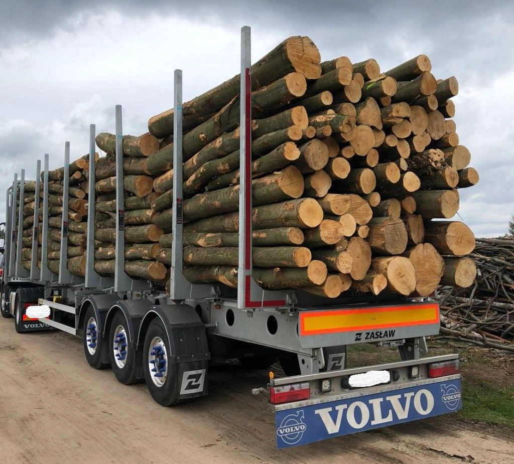 resineux.webp Nadelholzstammholz (gemischt) – 2 LKW-Ladung (100 rm) – PEFC – Bild 1